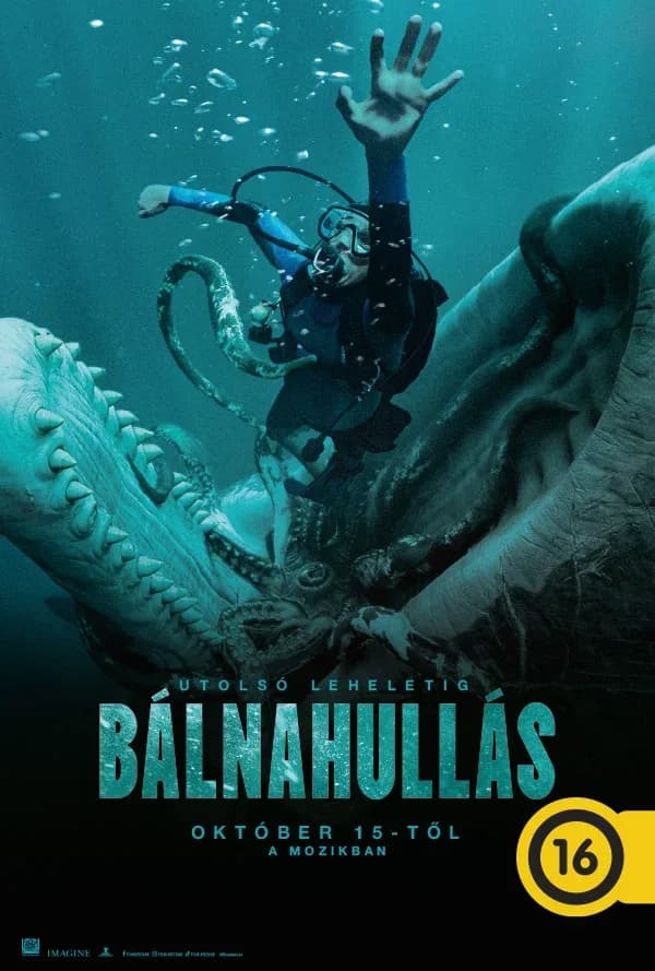 BÁLNAHULLÁS